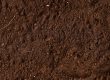 How to Prevent Soil Erosion