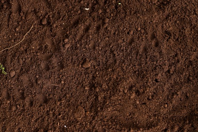 How to Prevent Soil Erosion How to Prevent Soil Erosion