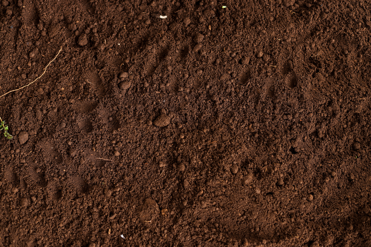 How to Prevent Soil Erosion How to Prevent Soil Erosion